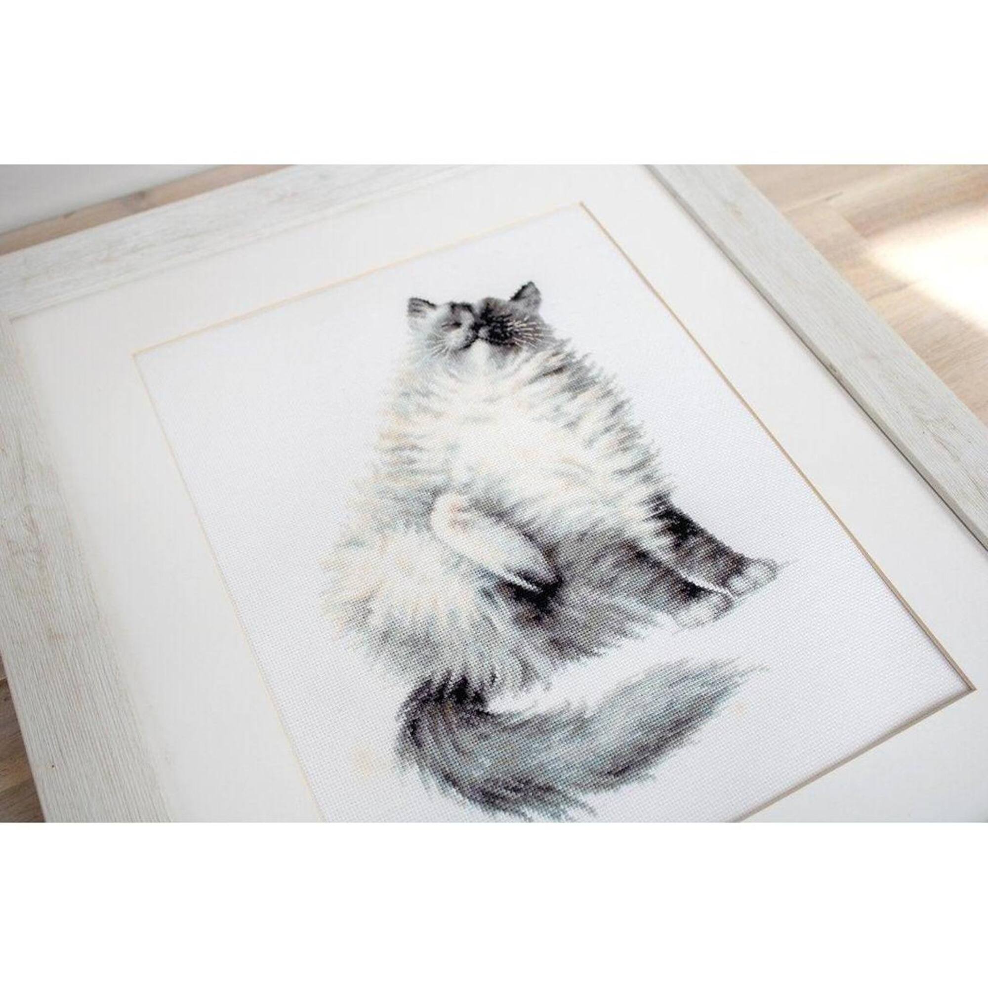 Luca-s Micky Counted Cross Stitch Kit